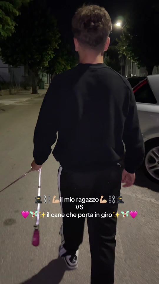 TikTok video thumbnail by _ludovicameloni_