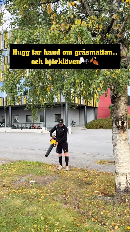 TikTok video thumbnail by skellefteaaik