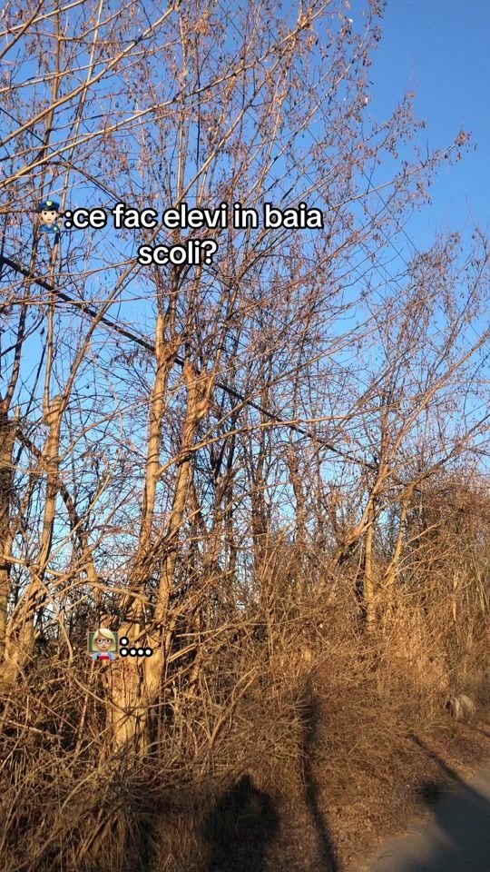 TikTok video thumbnail by p._.t.7