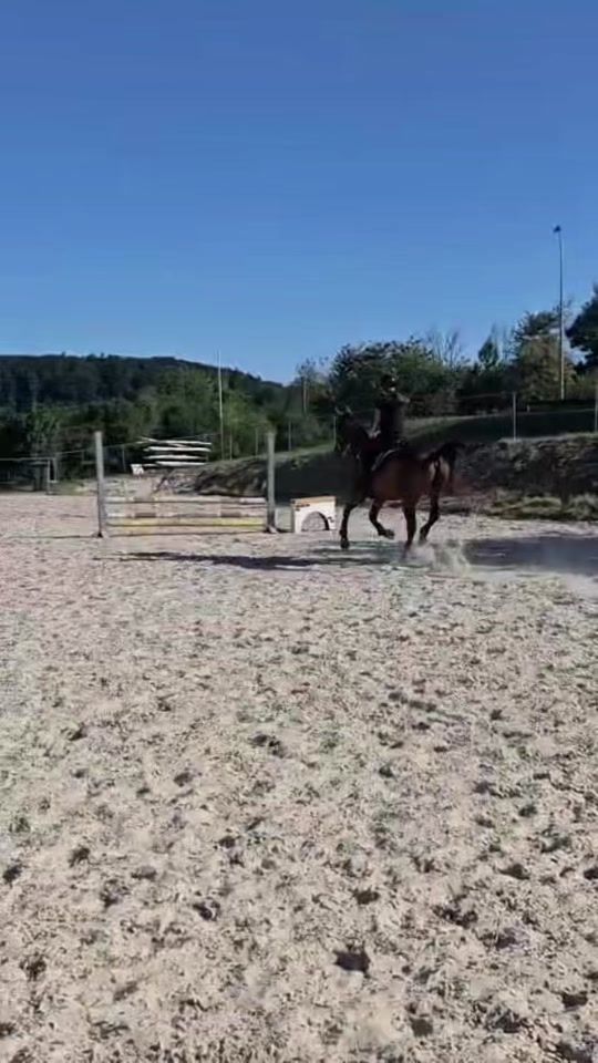 TikTok video thumbnail by lenya.stm