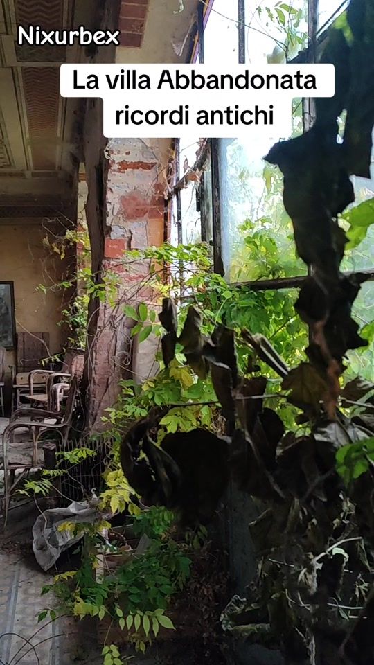 TikTok video thumbnail by nixurbex