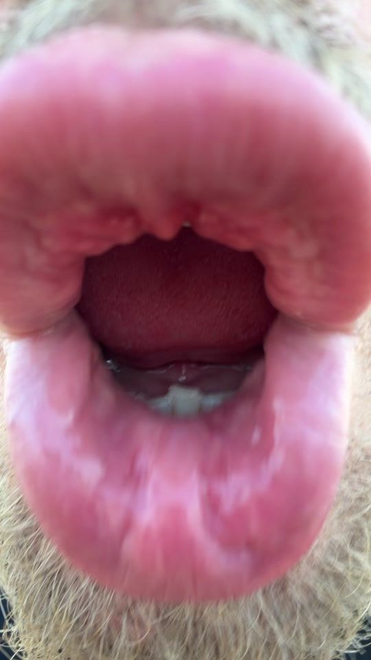 TikTok video thumbnail by teo_lecca14