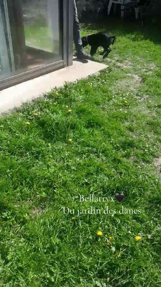 TikTok video thumbnail by esatiempire
