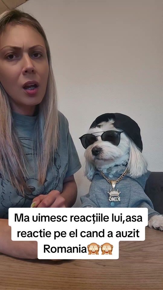TikTok video thumbnail by toto.maltese
