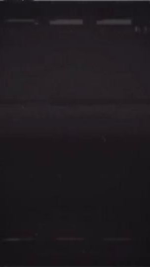 TikTok video thumbnail by ayliva355
