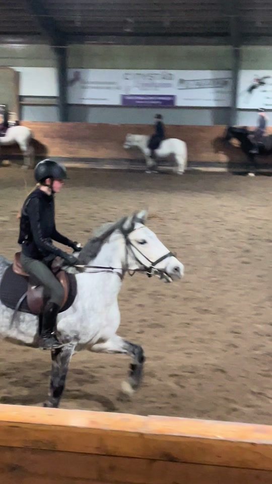 TikTok video thumbnail by equestrian_emilia2
