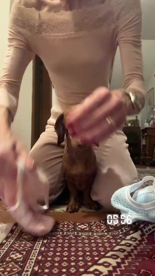 TikTok video thumbnail by millygrace67