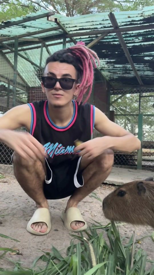 TikTok video thumbnail by pocoamorr