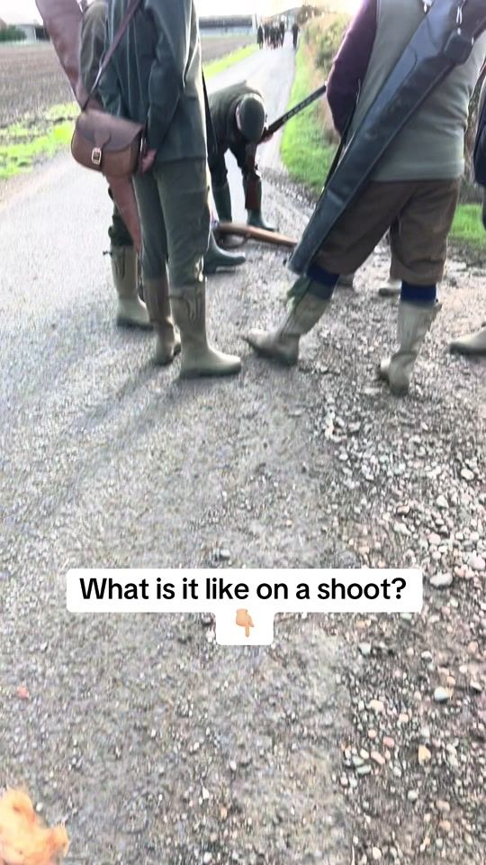 TikTok video thumbnail by working_cocker_mum