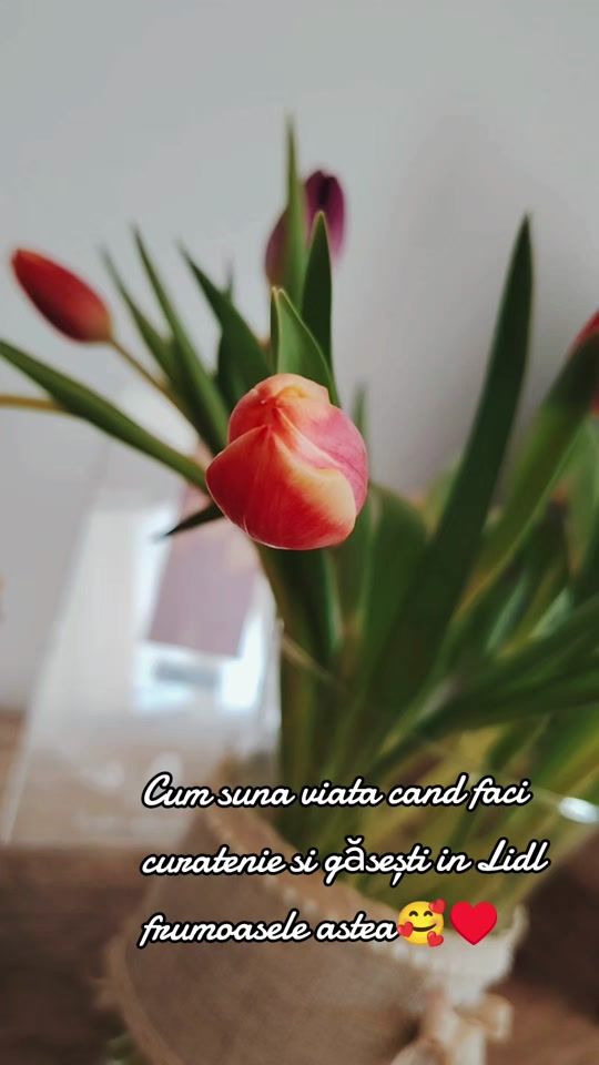 TikTok video thumbnail by florentinatanea