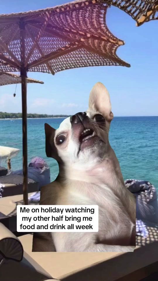 TikTok video thumbnail by sarahg3192