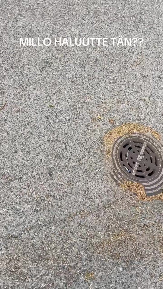 TikTok video thumbnail by hudari_b1