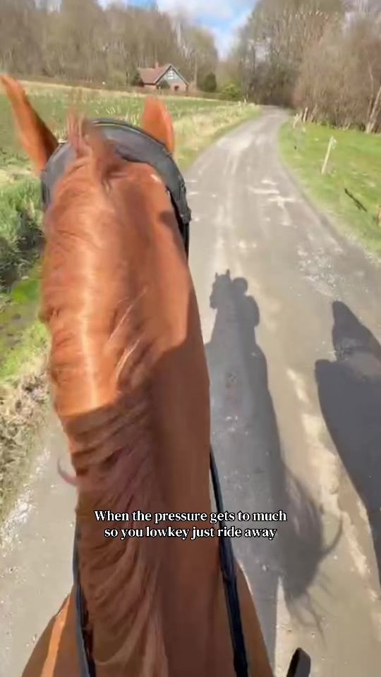 TikTok video thumbnail by merle67671