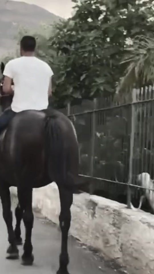 TikTok video thumbnail by giuliaale18