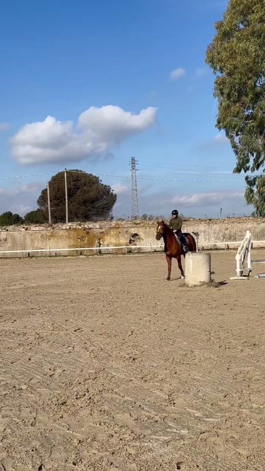 TikTok video thumbnail by dante.giunga