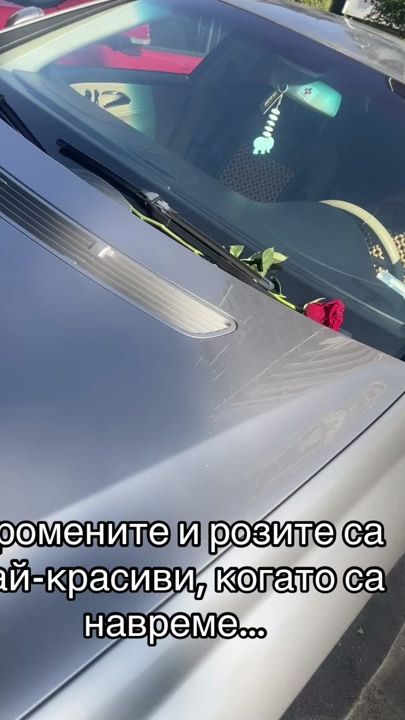 TikTok video thumbnail by profil_lubov