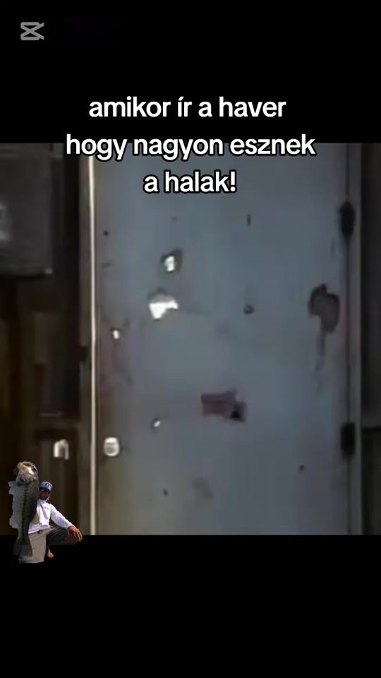 TikTok video thumbnail by trand8765