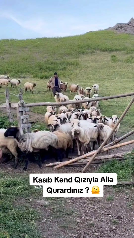 TikTok video thumbnail by dekorativ.hayvanlar