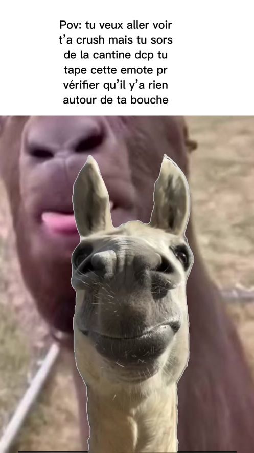TikTok video thumbnail by _user63_4