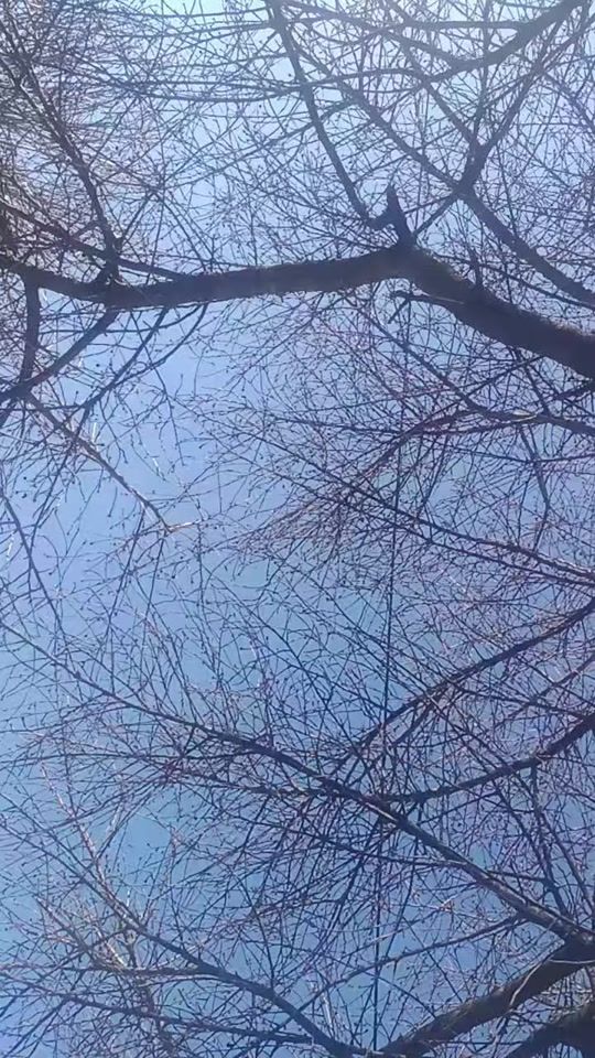 TikTok video thumbnail by ionela_lavinia14