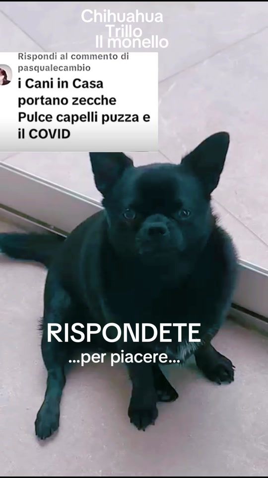 TikTok video thumbnail by annacuorvo877