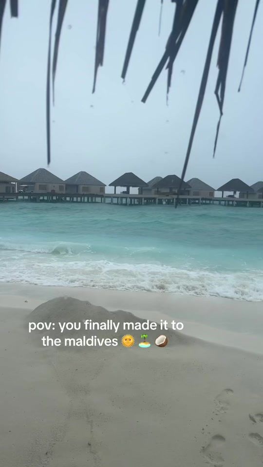 TikTok video thumbnail by jessglynnehateacc